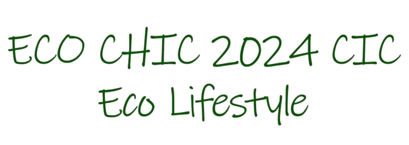 Eco Chic 2024 CIC logo